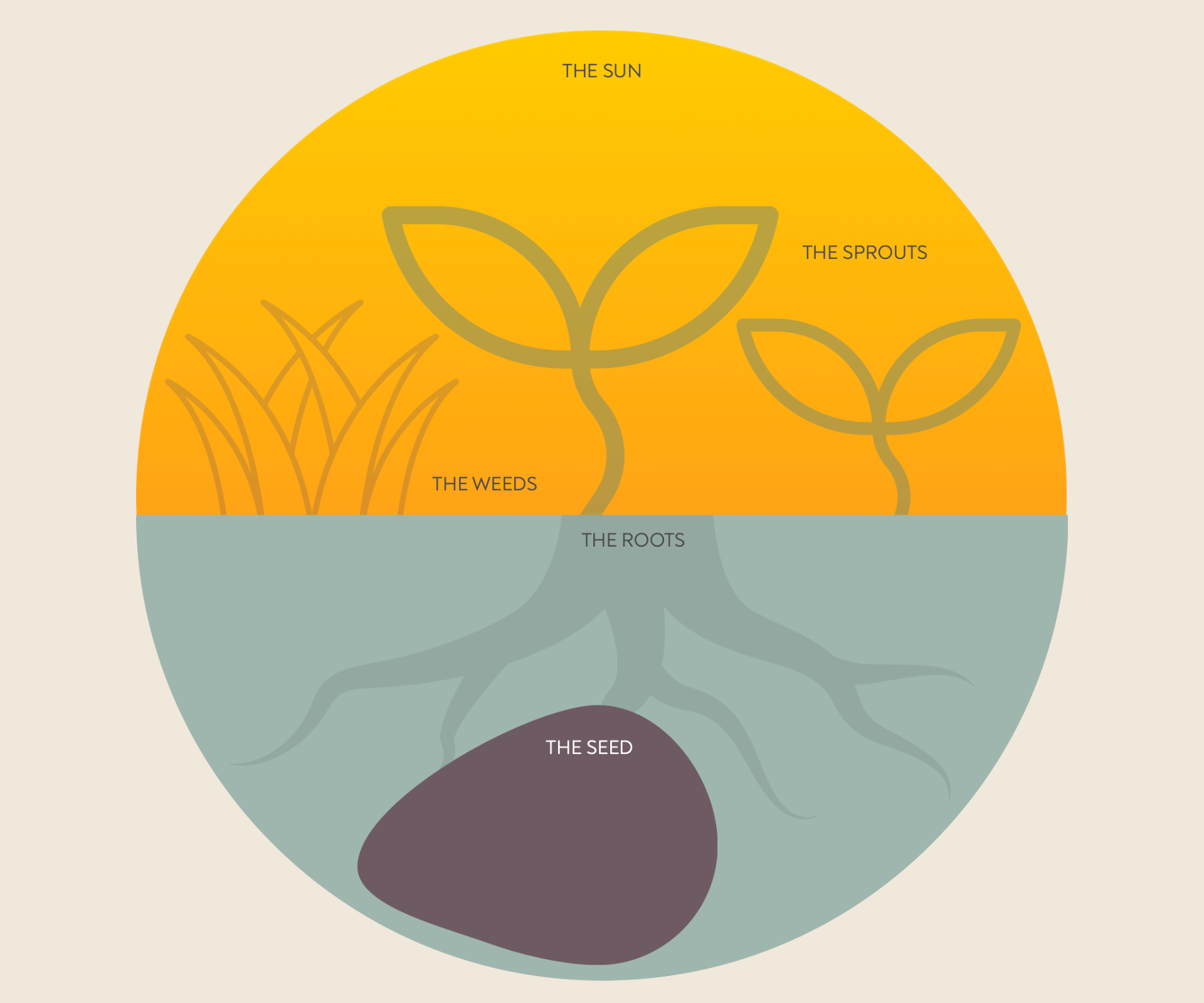 Rooting to Rise growth cycle — The Seed, The Roots, The Weeds, The Sprouts, The Sun